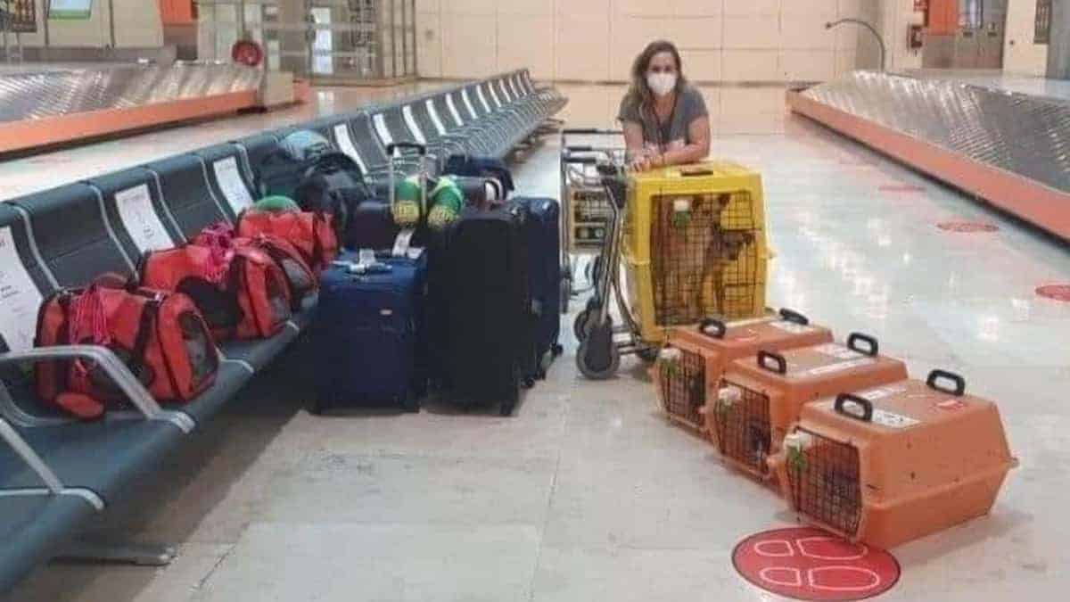 Giovane si trasferisce di paese e porta con sè i suoi 9 animali domestici: “Non penso di abbandonarli”