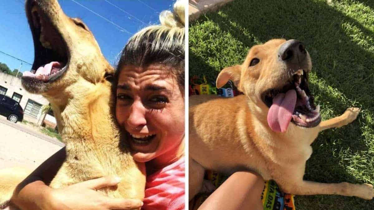 Giovane non trattiene l’emozione dopo essersi riunita con il suo cane perso per 100 giorni