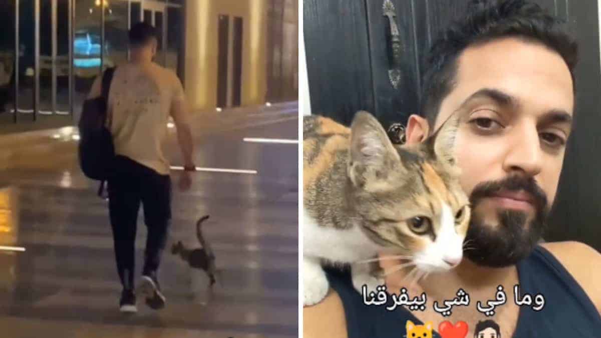 Un gattino senzatetto trova un nuovo padre in un momento inaspettato