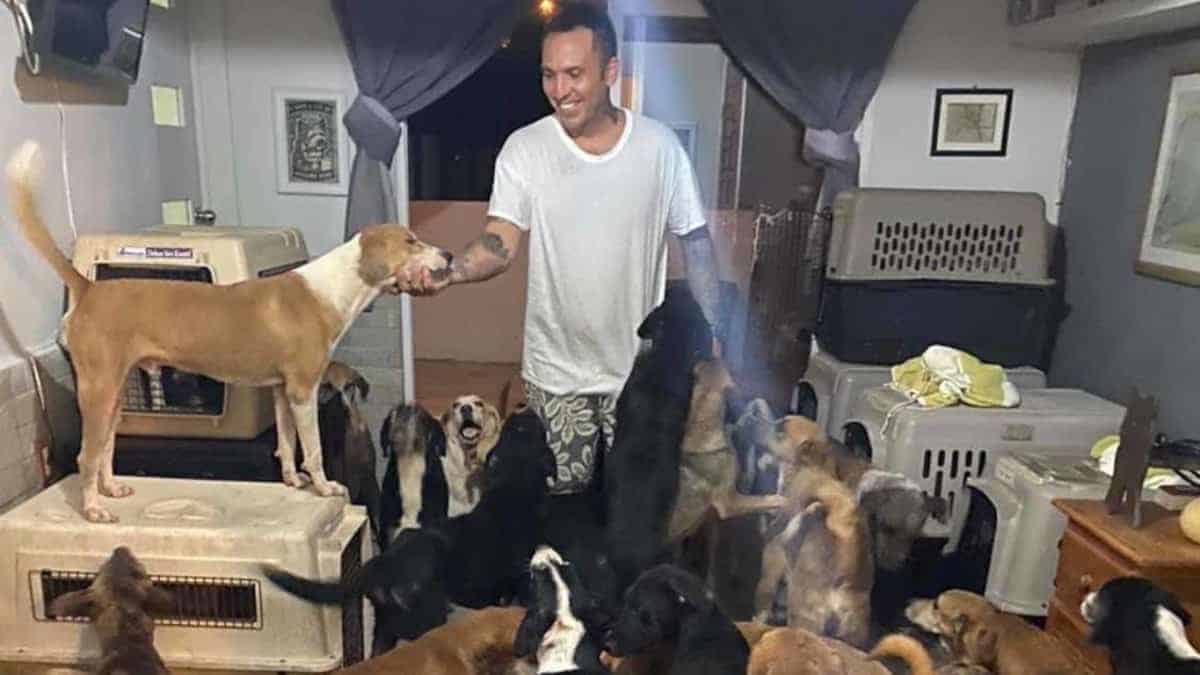 Con l’avvicinarsi di un uragano, un uomo corre a salvare 300 cani dai rifugi per portarli a casa