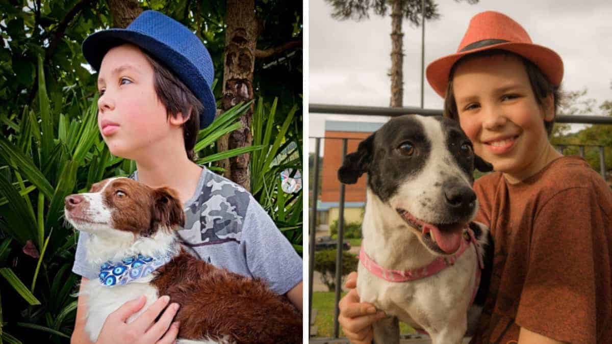 11enne fa il bagno ai cani randagi in modo che possano trovare velocemente casa