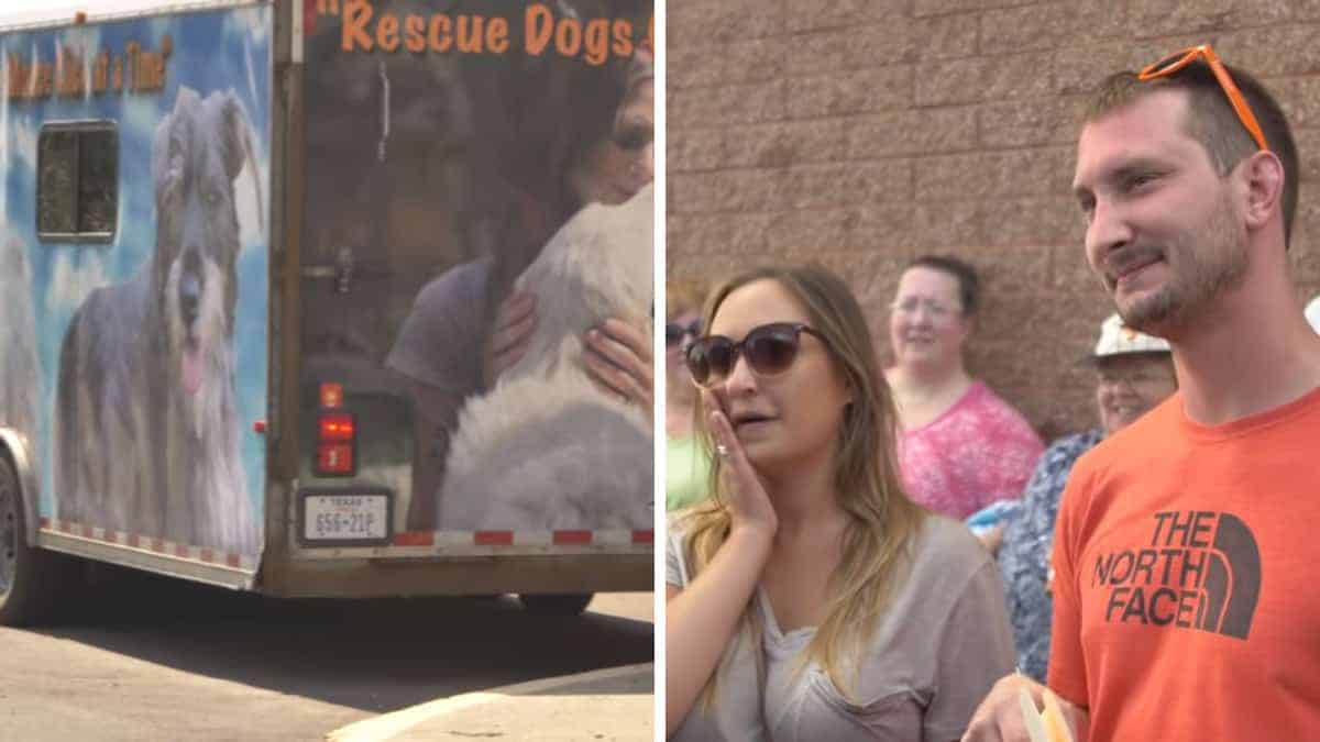 Una coppia adotta un cane senza prima incontrarlo, poi un camion dei soccorsi si ferma e apre il portellone della roulotte.