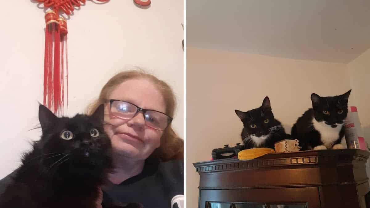 La mamma rifiuta di rinunciare ai suoi gatti e preferisce tenerli anche di fronte ad una crisi economica: “Sono la mia famiglia”