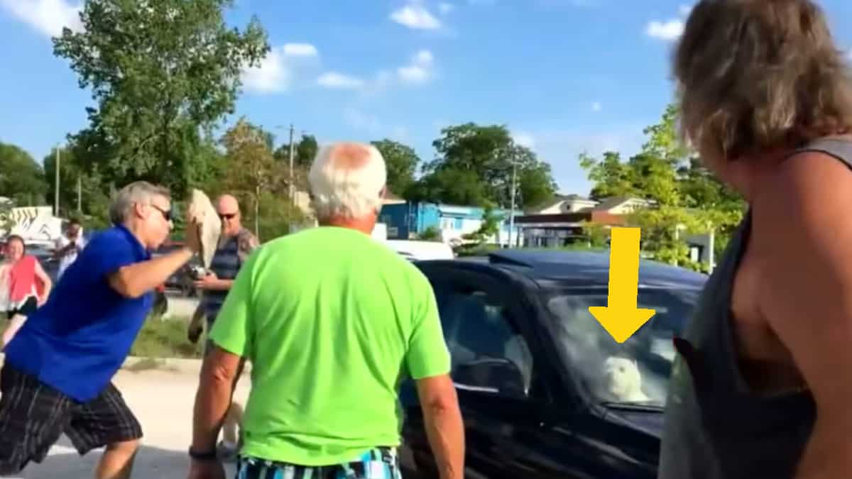 Individua un cane abbandonato in auto sotto il sole e prontamente frantuma il vetro per soccorrerlo