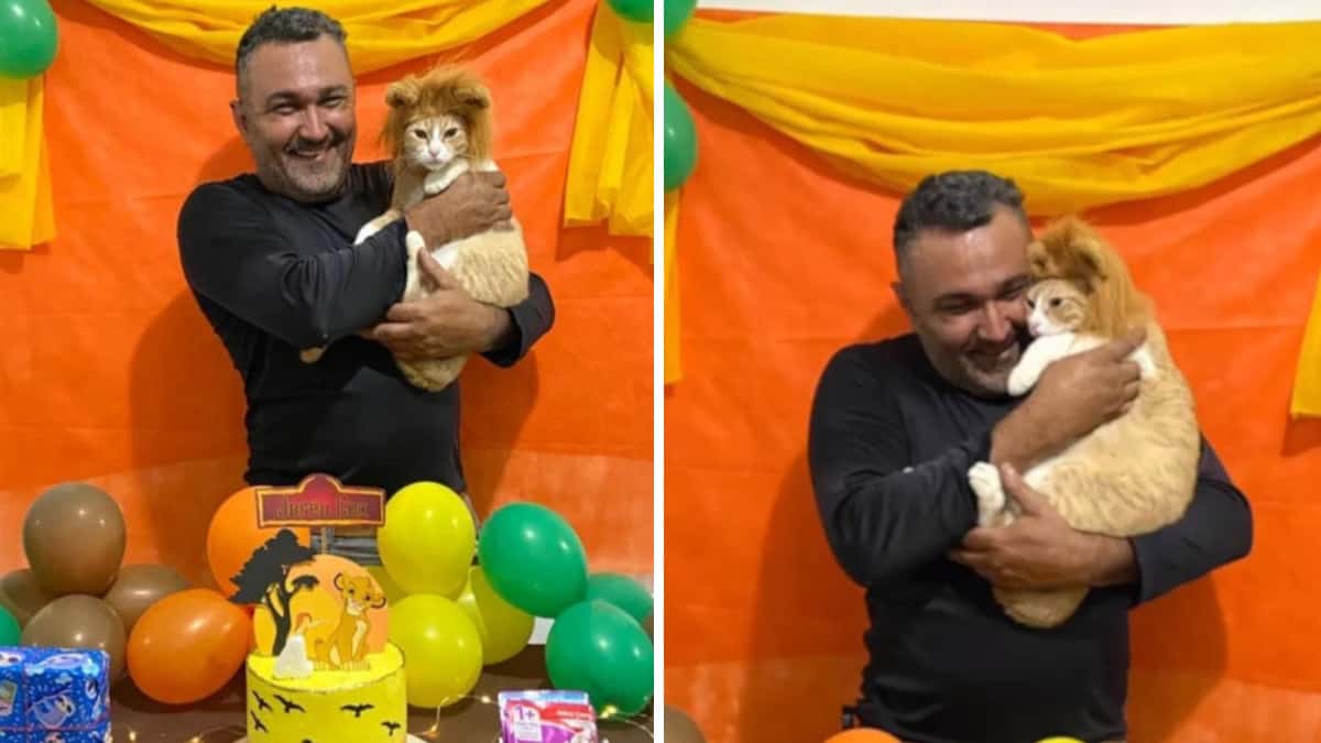 Papà che non voleva gattini in casa, chiude la sua attività per andare a festeggiare il suo compleanno