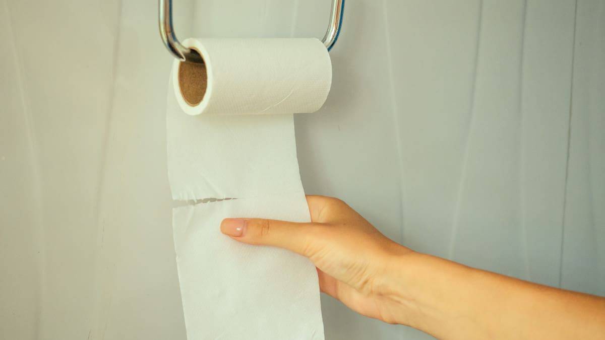 Prima dell’invenzione della carta igienica, cosa si utilizzava? La risposta è sorprendente