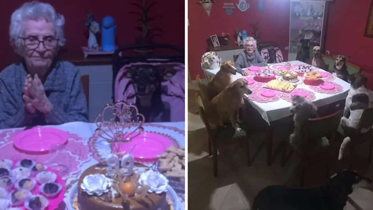 89enne decide di festeggiare con i suoi adorati cuccioli