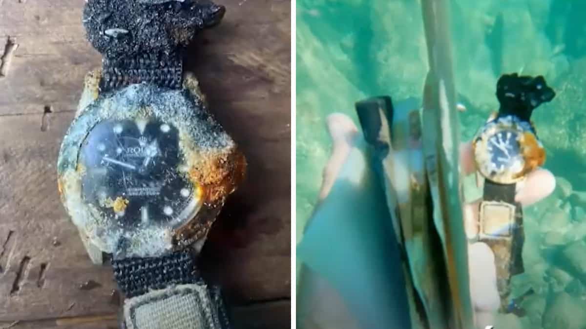 Trova un Rolex ancora funzionate nel fondo dell’oceano: ecco cosa ha fatto