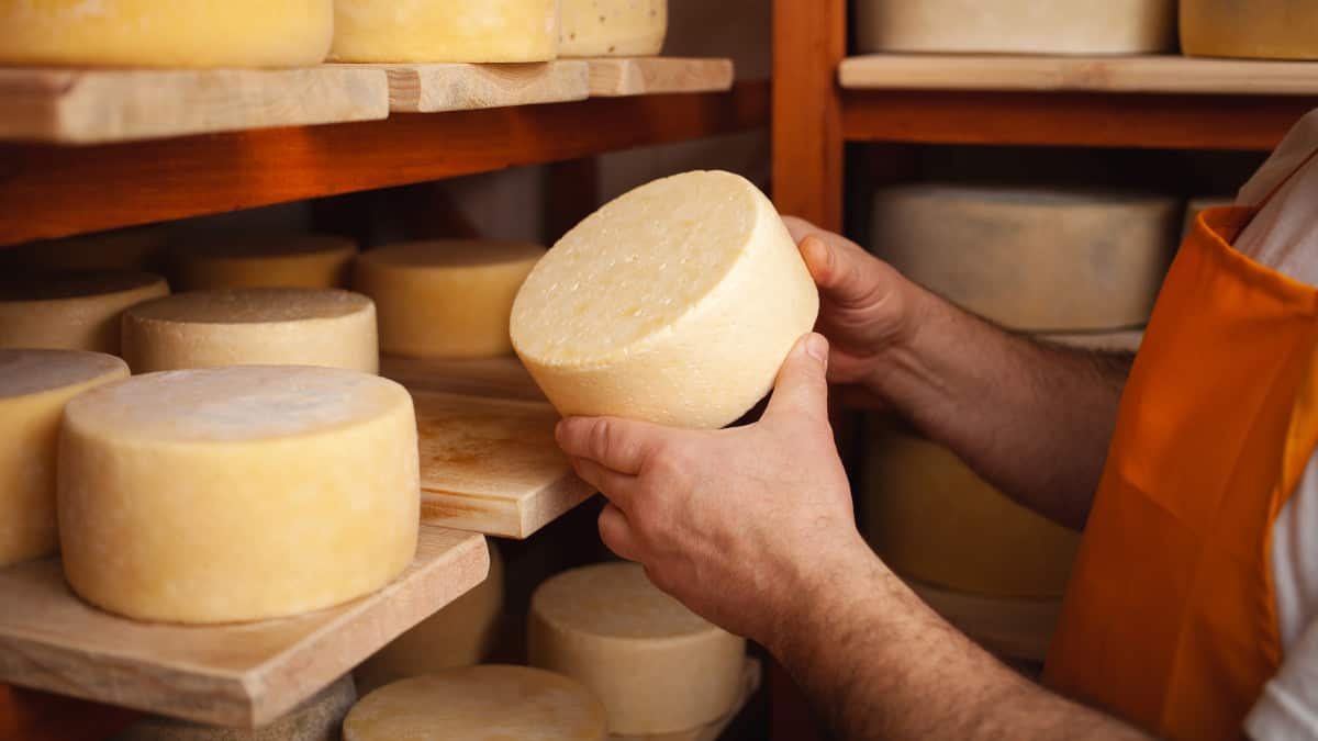 Molti formaggi non sono adatti ai vegetariani: ecco perché.