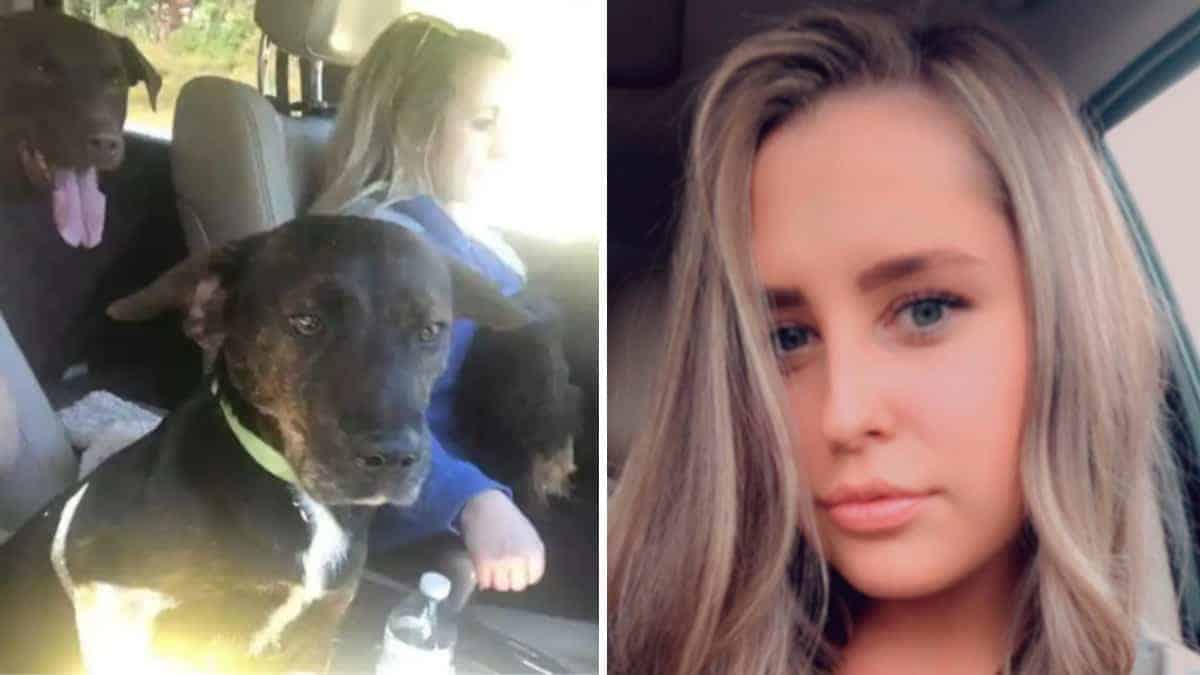 Una donna guida per quattro ore per salvare il cane dall’eutanasia e si ritrova con 3 cani nella sua macchina
