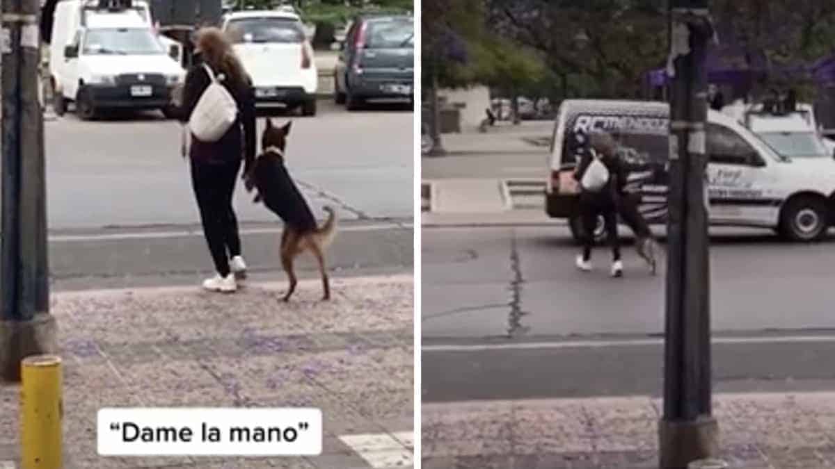Una donna prende la zampa del suo cucciolo in modo che possa attraversare la strada in sicurezza