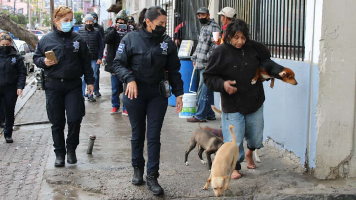 Una donna di nome Hole è una senzatetto e vive per strada insieme ai suoi cani.