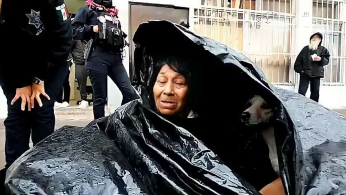 Una donna di nome Hole è una senzatetto e vive per strada insieme ai suoi cani.