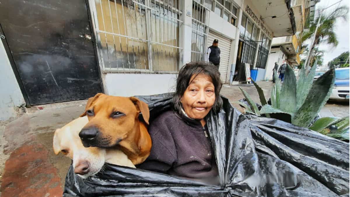 Una senzatetto dedica affetto e cura ai suoi fedeli amici animali