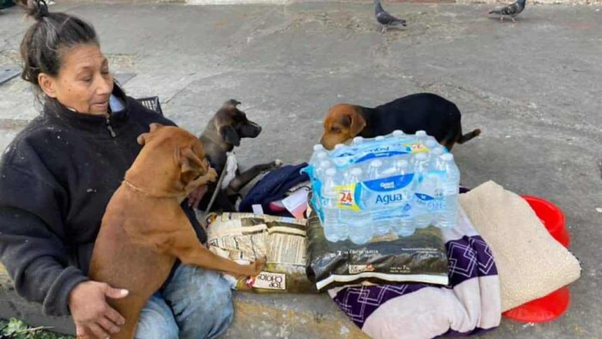 Una donna di nome Hole è una senzatetto e vive per strada insieme ai suoi cani.