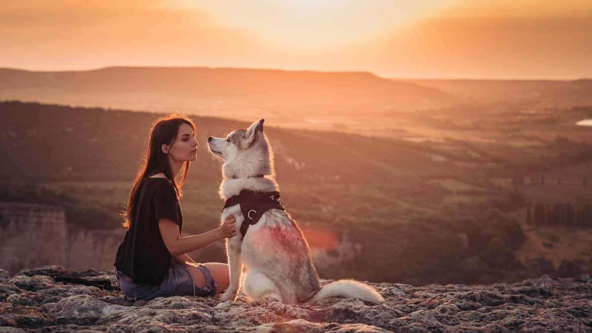 i cani capiscono il linguaggio umano