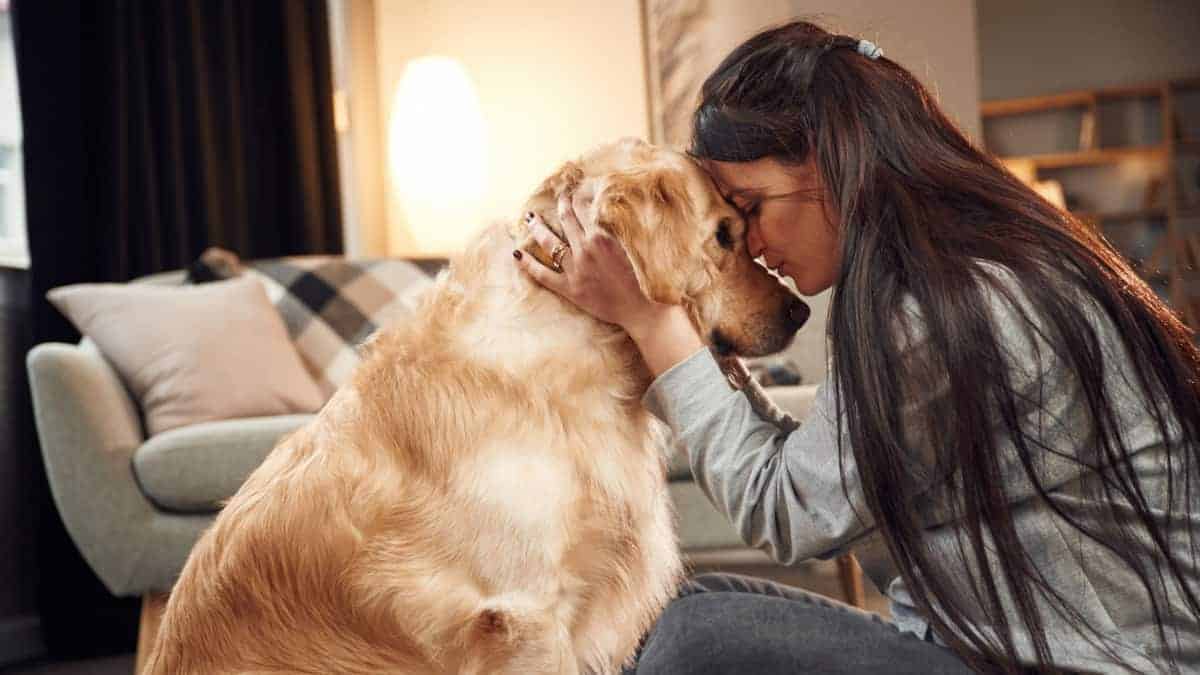 Uno studio afferma che i cani riescono a comprendere il linguaggio umano.