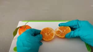mandarini in casa