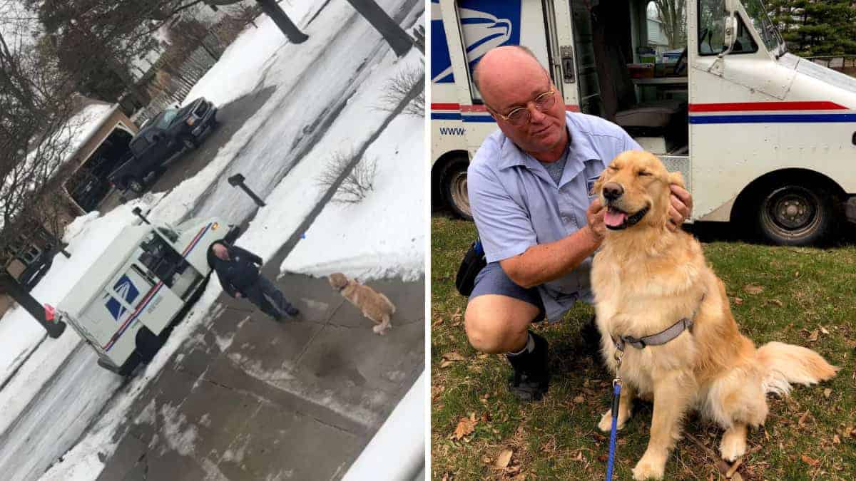 L'incredibile amicizia tra un cane e il suo postino