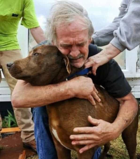 Anziano signore usa tutti i risparmi per salvare la vita del suo fedele amico a 4 zampe