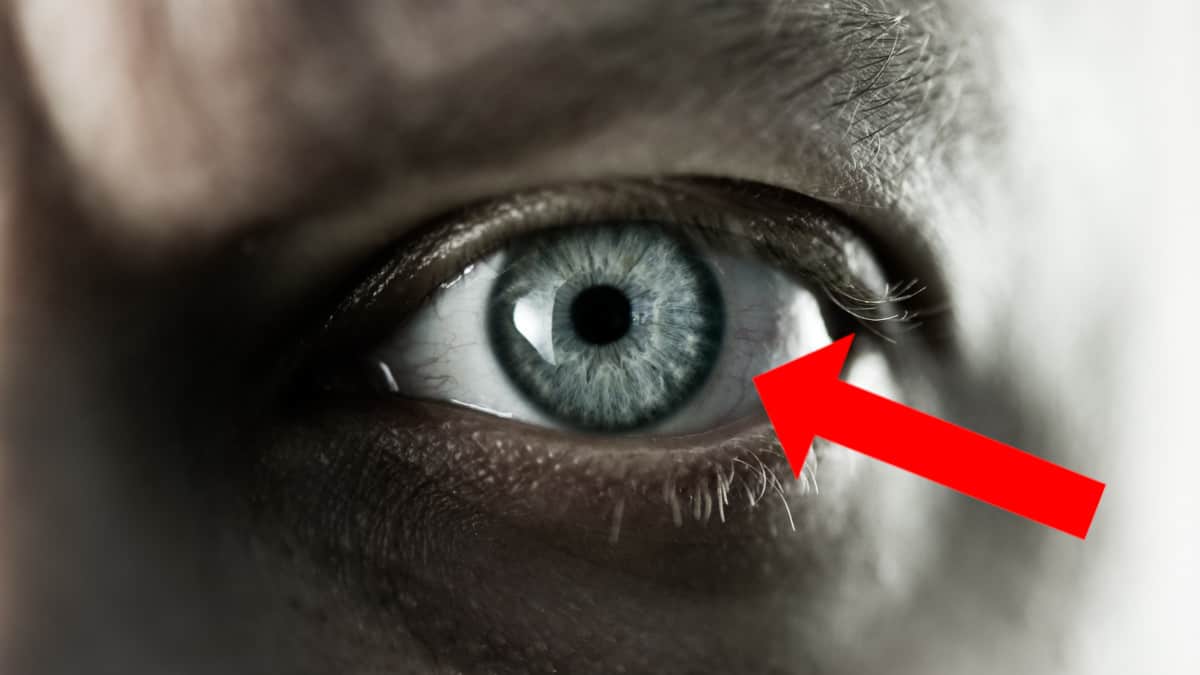 Uno studio rivela un possibile collegamento tra le dimensioni della pupilla e l'intelligenza di una persona