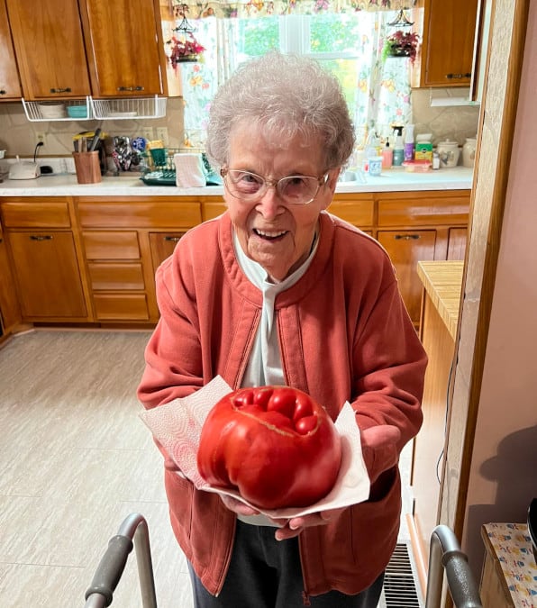 Sybil Gorby, a 92 anni, coltiva pomodori con le proprie mani