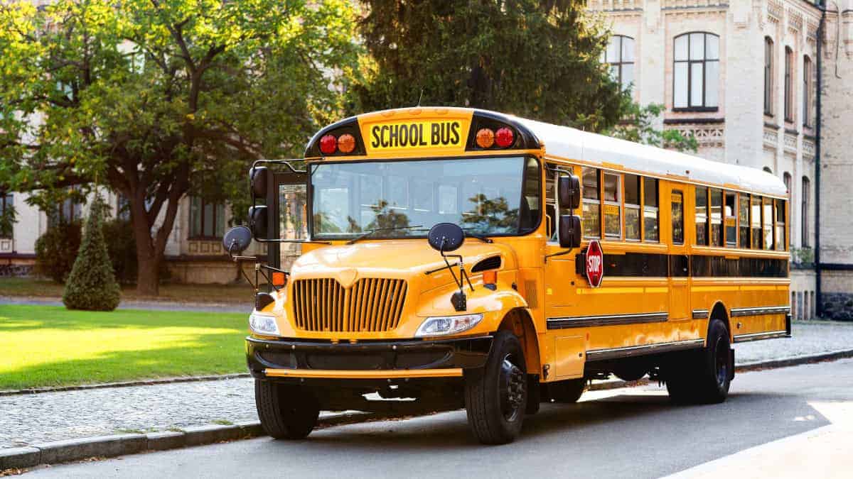 Giallo e strisce nere: il segreto della sicurezza degli scuolabus