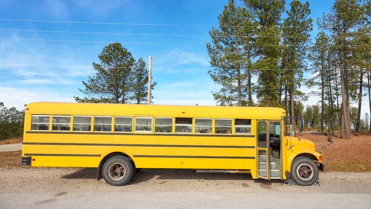 Giallo e strisce nere: il segreto della sicurezza degli scuolabus