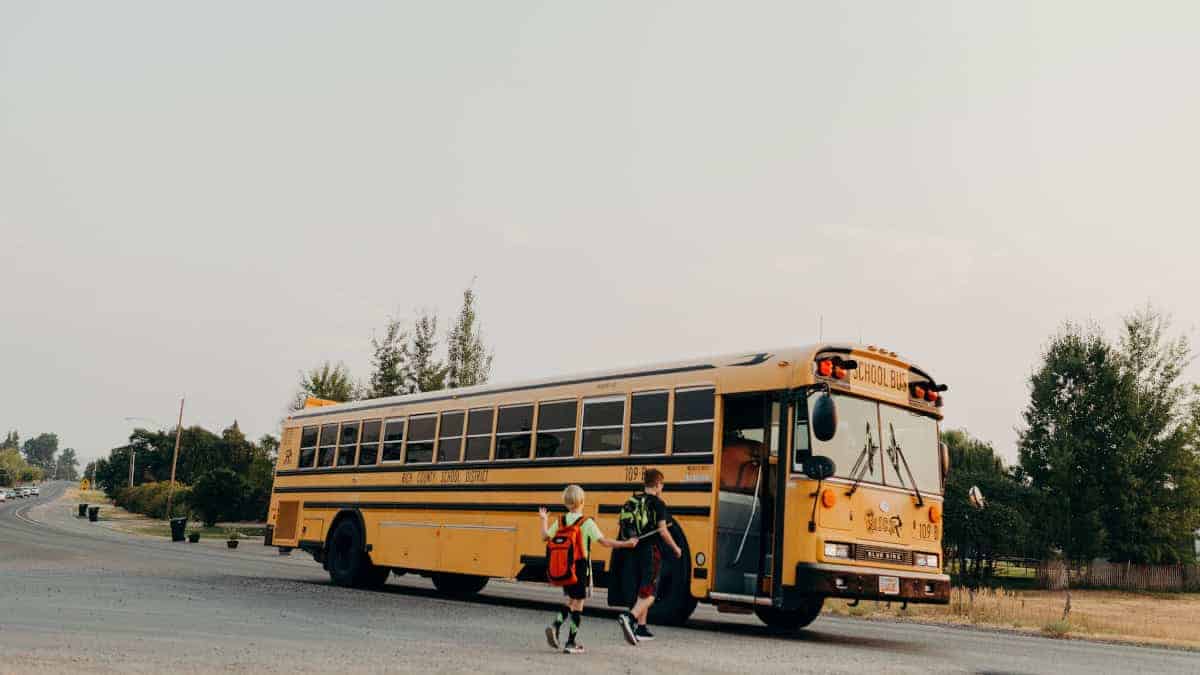 Giallo e strisce nere: il segreto della sicurezza degli scuolabus