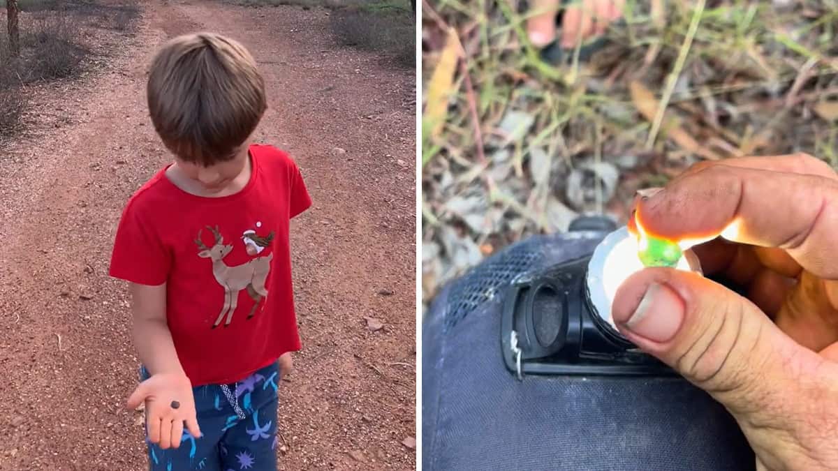 Ha sette anni e ha trovato uno zaffiro da 14 carati a pochi metri da casa sua (VIDEO)