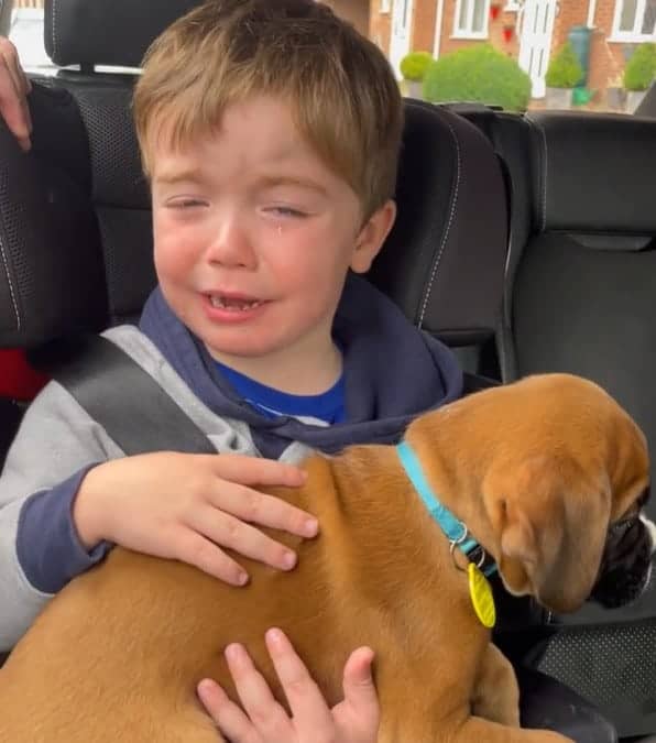 un bambino riceve un cucciolo come regalo dai suoi genitori