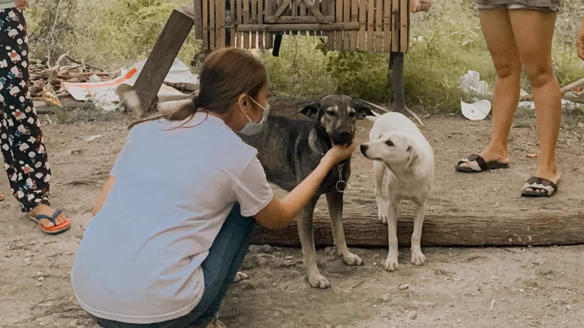 L'incredibile storia di Blacky: il cane che ha salvato un neonato abbandonato