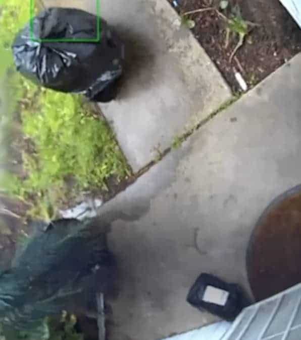 un ladro si è travestito da sacco della spazzatura per fare un furto