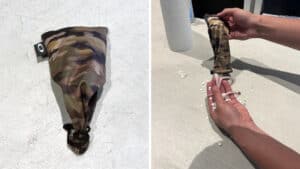 Passeggero nasconde serpenti nei pantaloni all'aeroporto di Miami